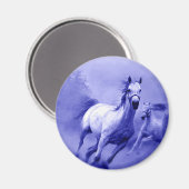 Ruitend paard magneet (Voorkant / Achterkant)