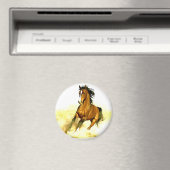 Ruitend paard magneet (Insitu (Vaatwasser))