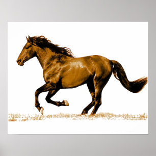 Ruitend paard poster