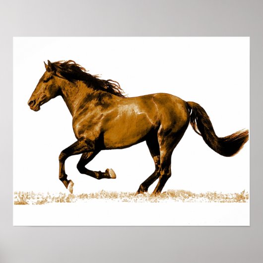 Ruitend paard poster (Voorkant)