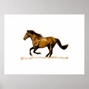 Ruitend paard poster