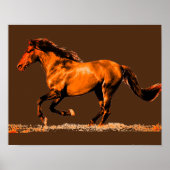 Ruitend paard poster (Voorkant)