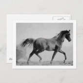 Ruitend paard zwart-wit briefkaart (Voorkant / Achterkant)