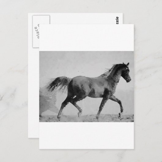 Ruitend paard zwart-wit briefkaart (Voorkant / Achterkant)