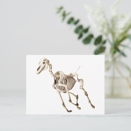 Ruitend Skelet Briefkaart (Staand voorkant)