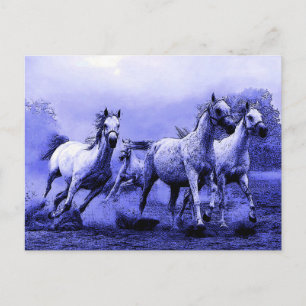 Ruitende paarden en blauw motorlicht briefkaart