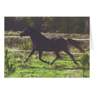 Ruitende paardenkaart