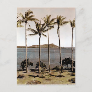 Ruitenkop Hawaii 1940 Briefkaart