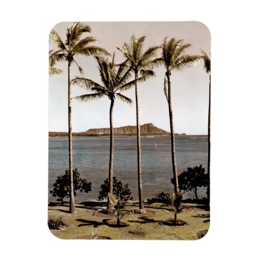 Ruitenkop Hawaii 1940 Magneet (Verticaal)