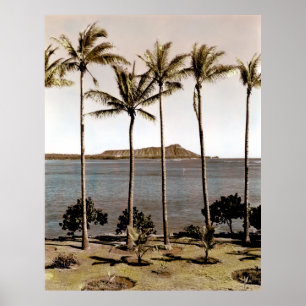Ruitenkop Hawaii 1940 Poster