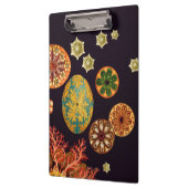 Ruitenpaneel zee klembord (Links)