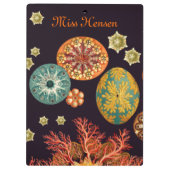 Ruitenpaneel zee klembord (Achterkant)