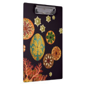 Ruitenpaneel zee klembord (Rechts)