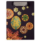 Ruitenpaneel zee klembord (Voorkant)