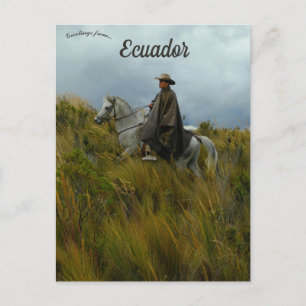 Ruiter en Paard in Cotopaxi Ecuador Briefkaart