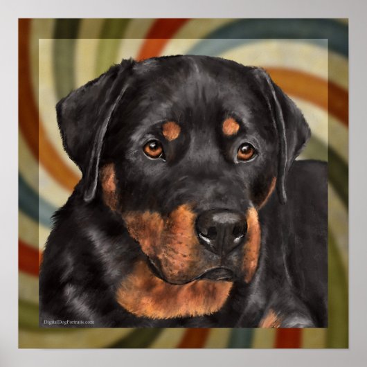 ruiter poster (Voorkant)