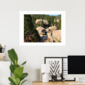 Ruitvormige rots op de Pikes-berg Poster (Thuiskantoor)