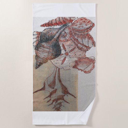 Rum Cay, Bahama's, Seashells: Strandlaken (Voorkant)