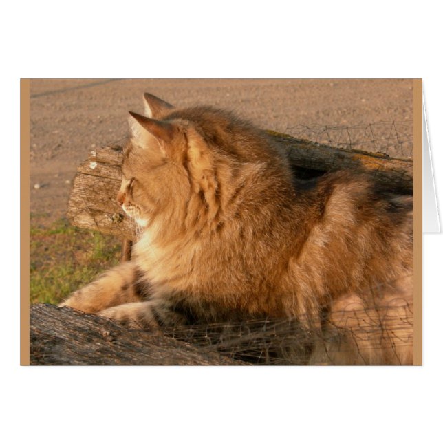 Rum Tiggle (Voorkant Horizontaal)