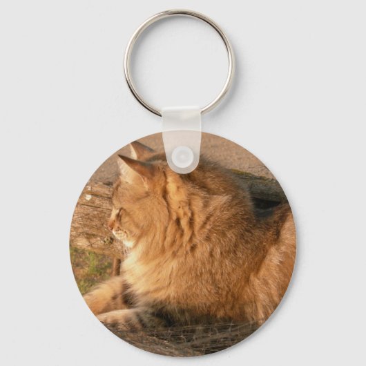 Rum Tiggle Sleutelhanger (Voorkant)