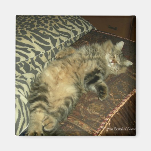 Rum Tum tumor Magneet (Voorkant)