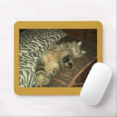 Rum Tum tumor Muismat (Met muis)