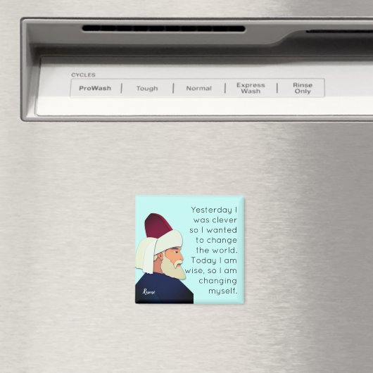 Rumi citeert: Gisteren was ik slim... Magneet (Insitu (Vaatwasser))