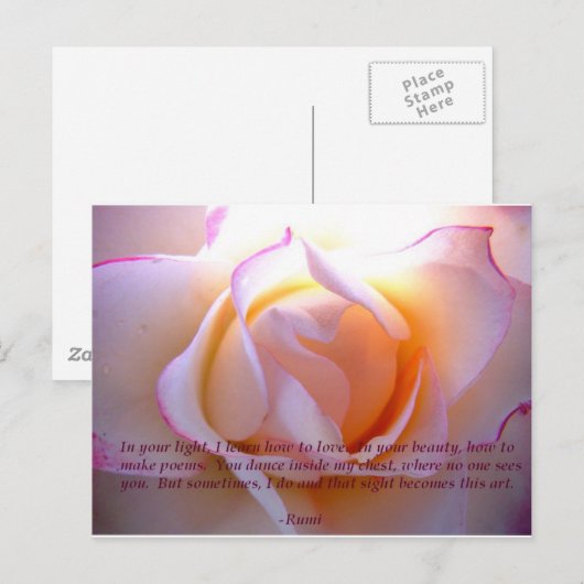 Rumi loverose briefkaart (Voorkant / Achterkant)