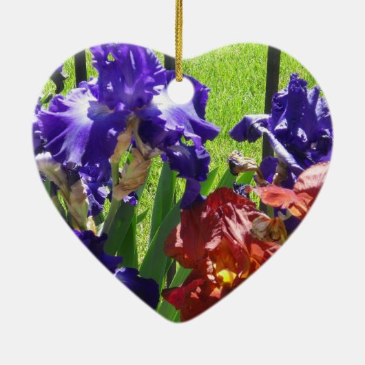 Rumi Quote Iris Ornament (Achterkant)