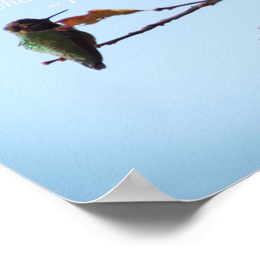 Rumi Quote met Hummingbird Poster (Hoek)