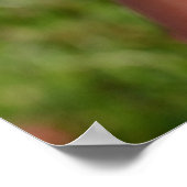 Rumi Quote Poster (Hoek)