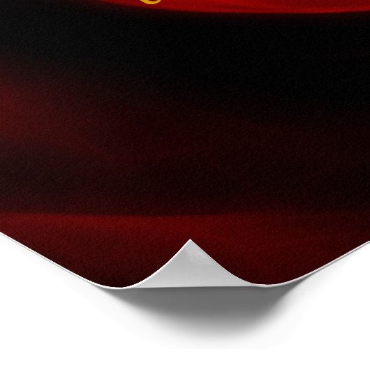 Rumi Red Rose Beauty Poster (Hoek)