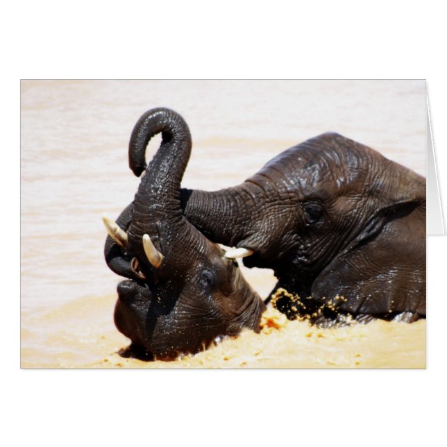 Rumi Soul joy (Voorkant Horizontaal)