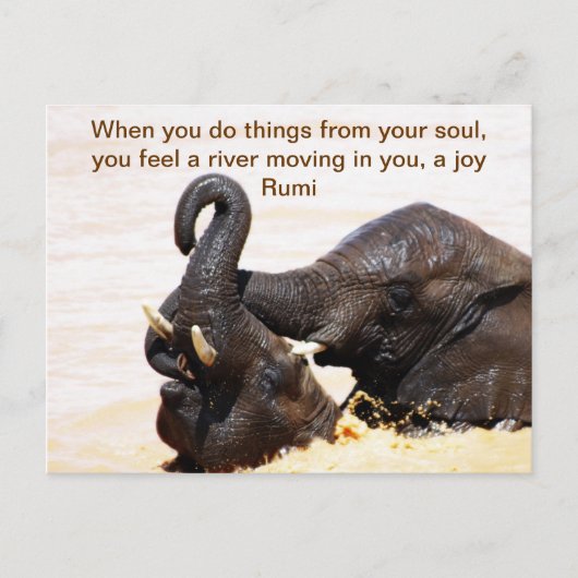 Rumi Soul joy Aankondigingskaart (Voorkant)