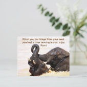 Rumi Soul joy Aankondigingskaart (Staand voorkant)