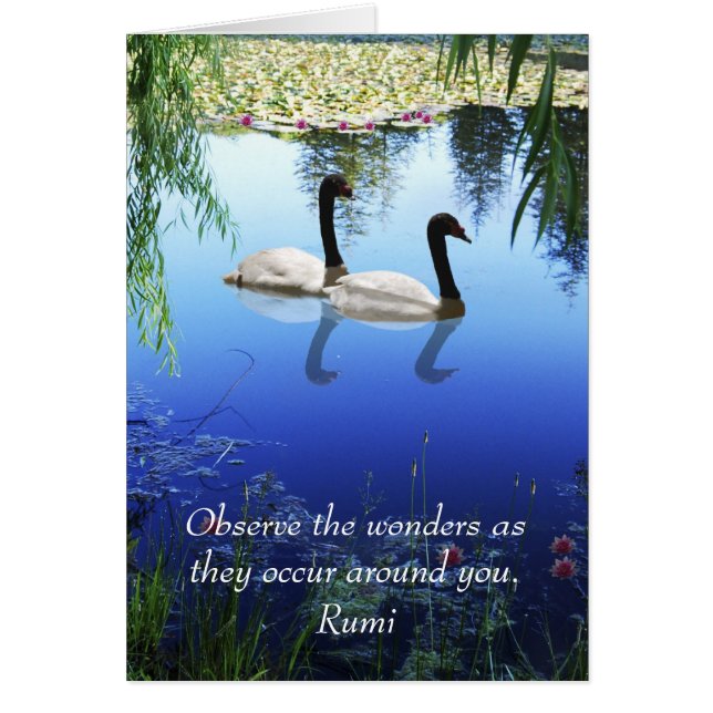 Rumi The wonders (Voorkant)