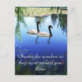 Rumi The wonders Briefkaart (Voorkant)