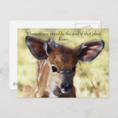 Rumi waar je ook staat briefkaart (Voorkant / Achterkant)