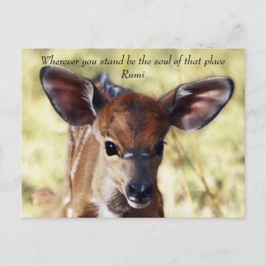 Rumi waar je ook staat briefkaart (Voorkant)