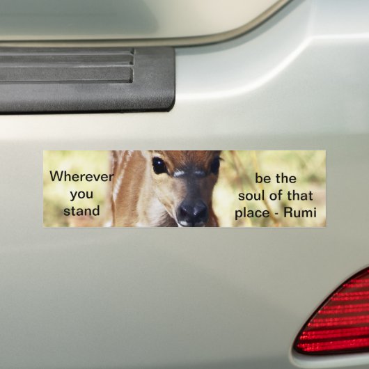 Rumi waar je ook staat bumpersticker (Op auto)