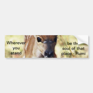 Rumi waar je ook staat bumpersticker
