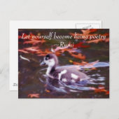 Rumi wordt levende poëzie briefkaart (Voorkant / Achterkant)