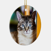 Rummy Full of Flies Siamese Cat Ornament (Rechts)