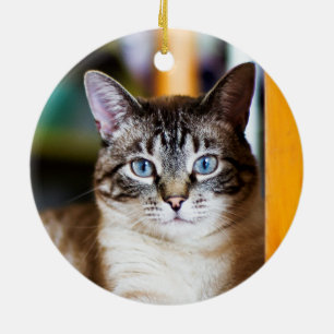 Rummy Full of Flies Siamese Cat Ornament