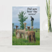 RUMOR IS DAT **55th BIRTHDAY* NIET ZO SLECHTE Kaar Kaart (Voorkant)