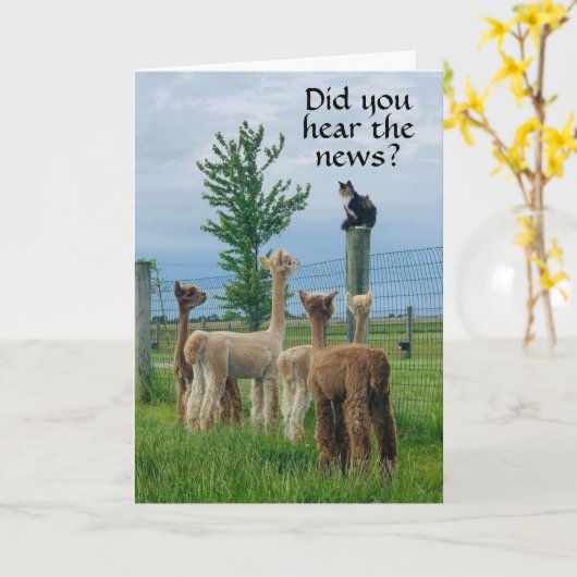 RUMOR IS DAT **55th BIRTHDAY* NIET ZO SLECHTE Kaar Kaart (Gele Bloem)