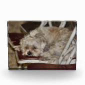 Rumple Fotoblokken (Voorkant)