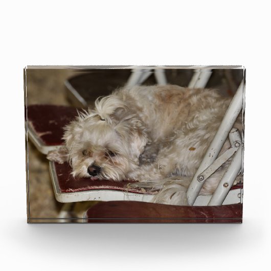 Rumple Fotoblokken (Voorkant)