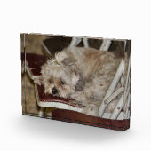 Rumple Fotoblokken (Rechts)