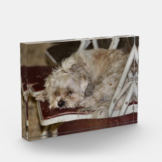 Rumple Fotoblokken (Links)